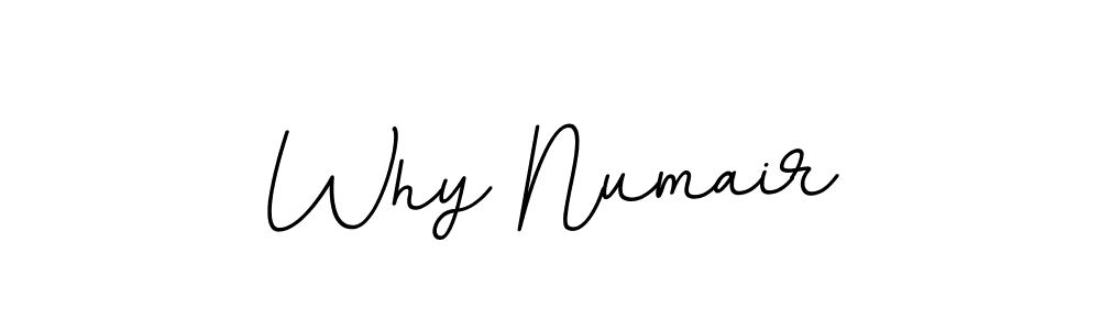 Check out images of Autograph of Why Numair name. Actor Why Numair Signature Style. BallpointsItalic-DORy9 is a professional sign style online. Why Numair signature style 11 images and pictures png