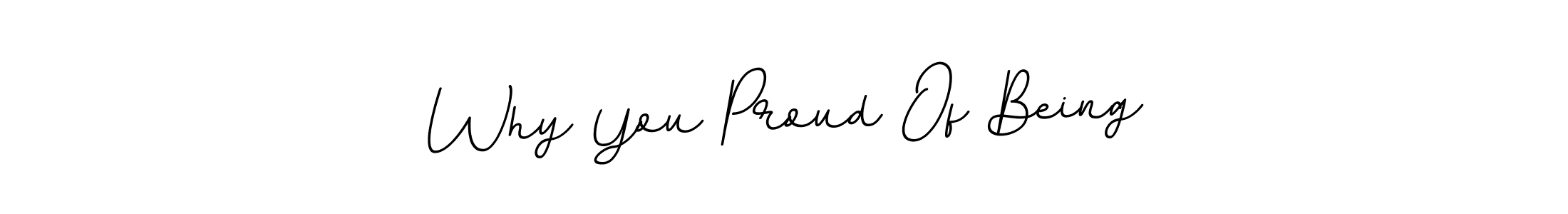 if you are searching for the best signature style for your name Why You Proud Of Being. so please give up your signature search. here we have designed multiple signature styles  using BallpointsItalic-DORy9. Why You Proud Of Being signature style 11 images and pictures png