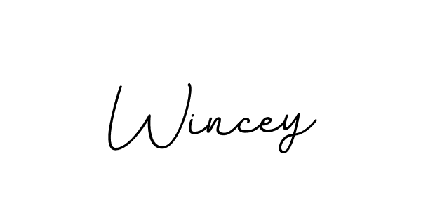 How to make Wincey signature? BallpointsItalic-DORy9 is a professional autograph style. Create handwritten signature for Wincey name. Wincey signature style 11 images and pictures png