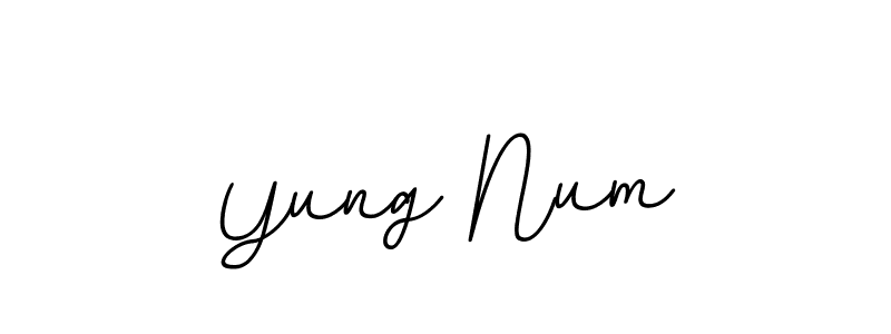 Create a beautiful signature design for name Yung Num. With this signature (BallpointsItalic-DORy9) fonts, you can make a handwritten signature for free. Yung Num signature style 11 images and pictures png
