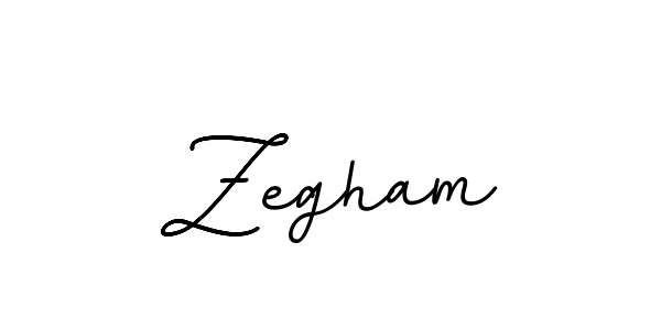 Create a beautiful signature design for name Zegham. With this signature (BallpointsItalic-DORy9) fonts, you can make a handwritten signature for free. Zegham signature style 11 images and pictures png