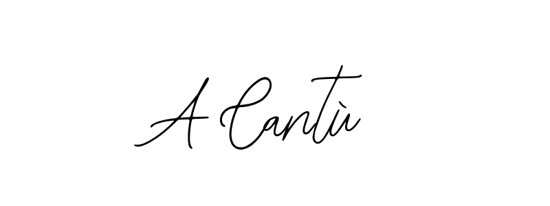 You should practise on your own different ways (Bearetta-2O07w) to write your name (A Cantù) in signature. don't let someone else do it for you. A Cantù signature style 12 images and pictures png