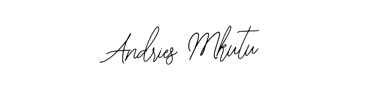You should practise on your own different ways (Bearetta-2O07w) to write your name (Andries Mkutu) in signature. don't let someone else do it for you. Andries Mkutu signature style 12 images and pictures png