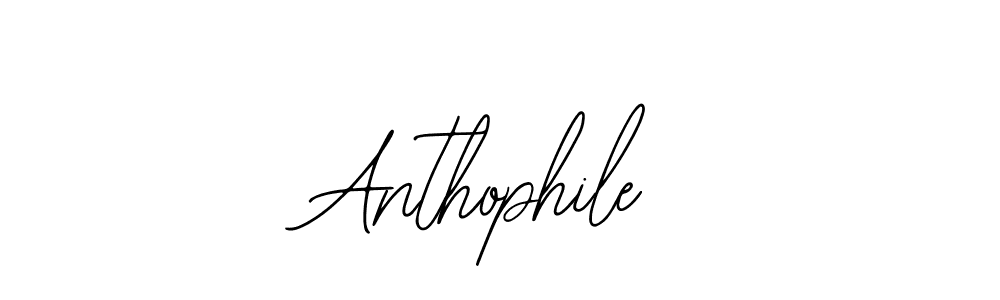 You should practise on your own different ways (Bearetta-2O07w) to write your name (Anthophile) in signature. don't let someone else do it for you. Anthophile signature style 12 images and pictures png