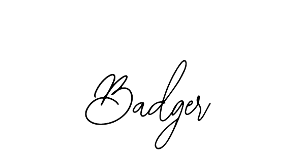 Badger stylish signature style. Best Handwritten Sign (Bearetta-2O07w) for my name. Handwritten Signature Collection Ideas for my name Badger. Badger signature style 12 images and pictures png