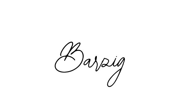 You should practise on your own different ways (Bearetta-2O07w) to write your name (Barzig) in signature. don't let someone else do it for you. Barzig signature style 12 images and pictures png