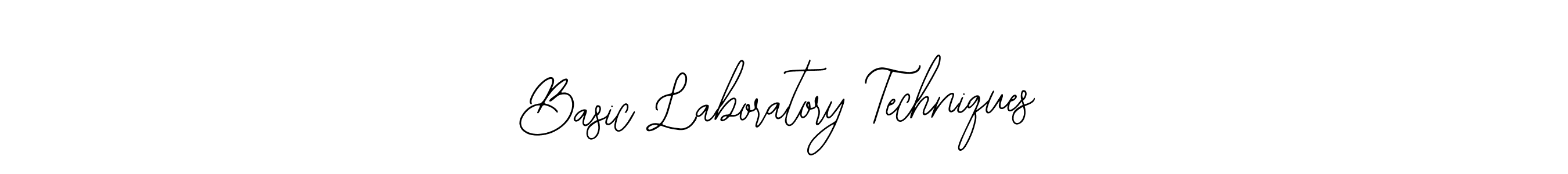 You should practise on your own different ways (Bearetta-2O07w) to write your name (Basic Laboratory Techniques) in signature. don't let someone else do it for you. Basic Laboratory Techniques signature style 12 images and pictures png