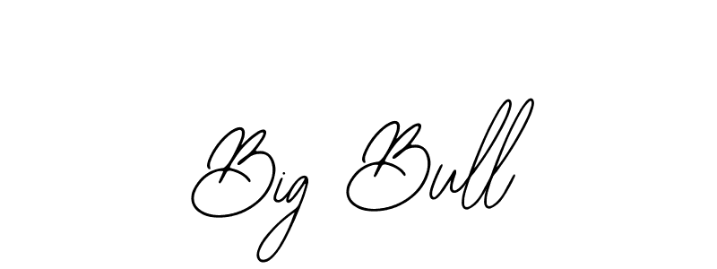 Make a beautiful signature design for name Big Bull. Use this online signature maker to create a handwritten signature for free. Big Bull signature style 12 images and pictures png