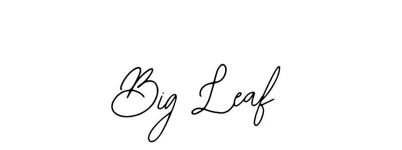 Big Leaf stylish signature style. Best Handwritten Sign (Bearetta-2O07w) for my name. Handwritten Signature Collection Ideas for my name Big Leaf. Big Leaf signature style 12 images and pictures png