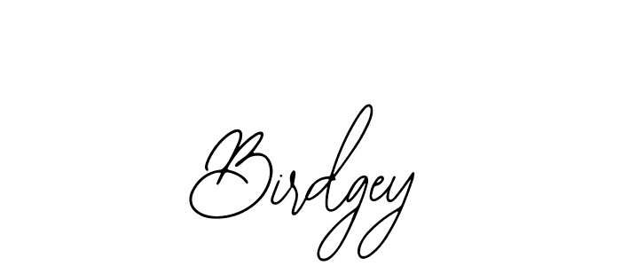 Use a signature maker to create a handwritten signature online. With this signature software, you can design (Bearetta-2O07w) your own signature for name Birdgey. Birdgey signature style 12 images and pictures png