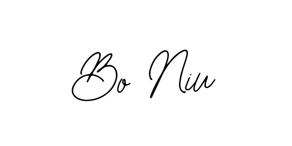 Use a signature maker to create a handwritten signature online. With this signature software, you can design (Bearetta-2O07w) your own signature for name Bo Niu. Bo Niu signature style 12 images and pictures png