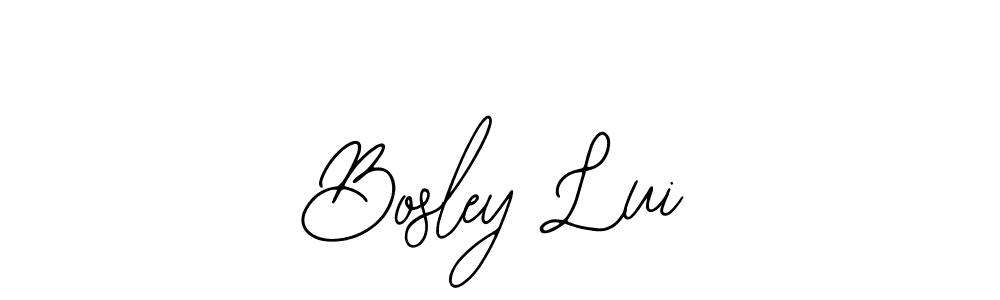 How to make Bosley Lui signature? Bearetta-2O07w is a professional autograph style. Create handwritten signature for Bosley Lui name. Bosley Lui signature style 12 images and pictures png