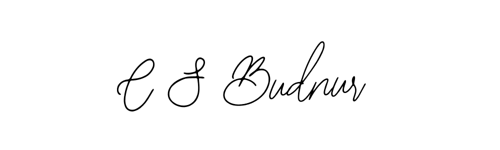 Here are the top 10 professional signature styles for the name C S Budnur. These are the best autograph styles you can use for your name. C S Budnur signature style 12 images and pictures png
