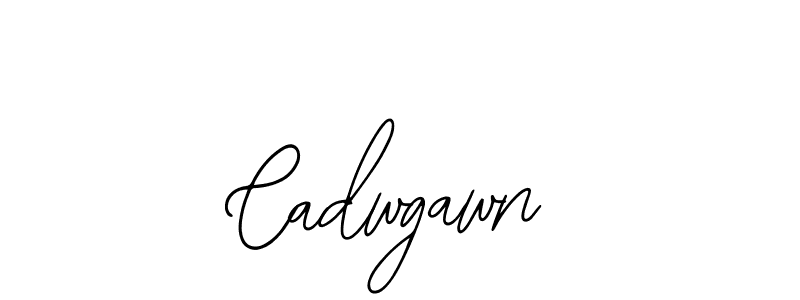 Bearetta-2O07w is a professional signature style that is perfect for those who want to add a touch of class to their signature. It is also a great choice for those who want to make their signature more unique. Get Cadwgawn name to fancy signature for free. Cadwgawn signature style 12 images and pictures png