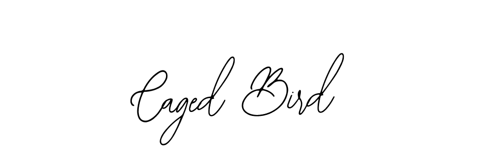 Design your own signature with our free online signature maker. With this signature software, you can create a handwritten (Bearetta-2O07w) signature for name Caged Bird. Caged Bird signature style 12 images and pictures png