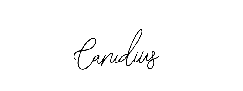 You can use this online signature creator to create a handwritten signature for the name Canidius. This is the best online autograph maker. Canidius signature style 12 images and pictures png