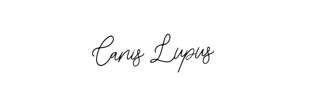 Also You can easily find your signature by using the search form. We will create Canis Lupus name handwritten signature images for you free of cost using Bearetta-2O07w sign style. Canis Lupus signature style 12 images and pictures png