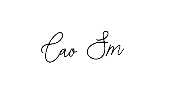 Design your own signature with our free online signature maker. With this signature software, you can create a handwritten (Bearetta-2O07w) signature for name Cao Sm. Cao Sm signature style 12 images and pictures png