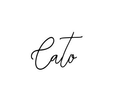 You should practise on your own different ways (Bearetta-2O07w) to write your name (Cato) in signature. don't let someone else do it for you. Cato signature style 12 images and pictures png
