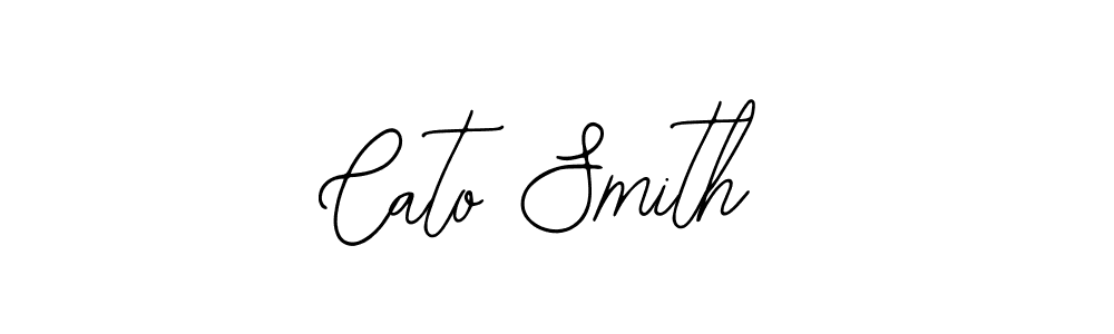 Make a beautiful signature design for name Cato Smith. Use this online signature maker to create a handwritten signature for free. Cato Smith signature style 12 images and pictures png