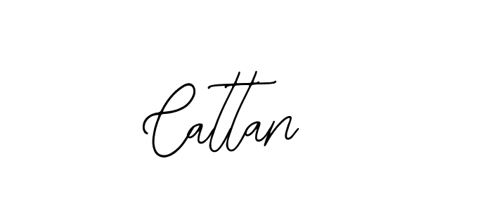 How to make Cattan  signature? Bearetta-2O07w is a professional autograph style. Create handwritten signature for Cattan  name. Cattan  signature style 12 images and pictures png