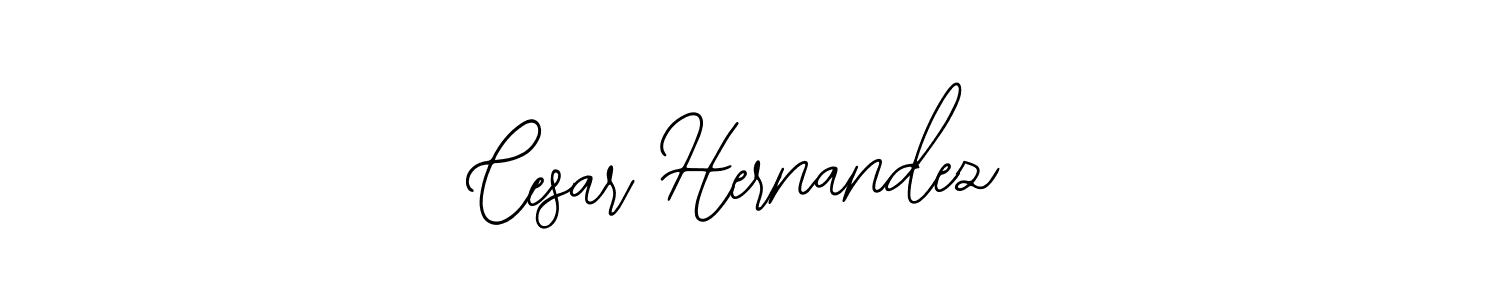 You should practise on your own different ways (Bearetta-2O07w) to write your name (Cesar Hernandez) in signature. don't let someone else do it for you. Cesar Hernandez signature style 12 images and pictures png