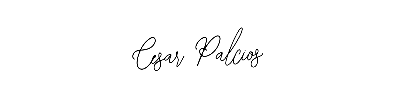 Here are the top 10 professional signature styles for the name Cesar Palcios. These are the best autograph styles you can use for your name. Cesar Palcios signature style 12 images and pictures png