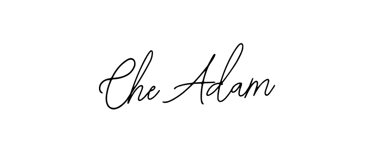 Use a signature maker to create a handwritten signature online. With this signature software, you can design (Bearetta-2O07w) your own signature for name Che Adam. Che Adam signature style 12 images and pictures png