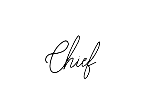 You should practise on your own different ways (Bearetta-2O07w) to write your name (Chief) in signature. don't let someone else do it for you. Chief signature style 12 images and pictures png