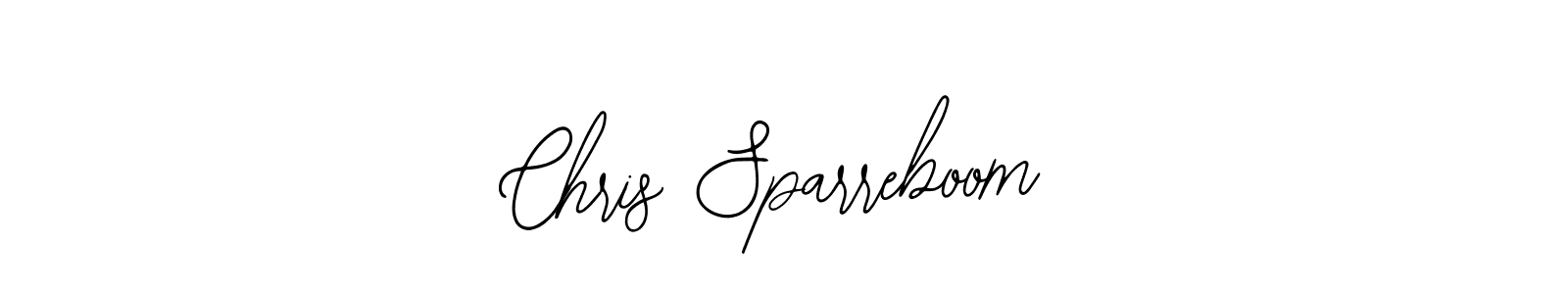 Make a beautiful signature design for name Chris Sparreboom. Use this online signature maker to create a handwritten signature for free. Chris Sparreboom signature style 12 images and pictures png