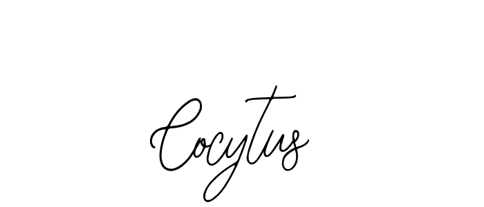 See photos of Cocytus official signature by Spectra . Check more albums & portfolios. Read reviews & check more about Bearetta-2O07w font. Cocytus signature style 12 images and pictures png