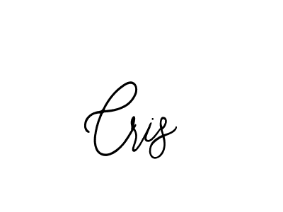 You should practise on your own different ways (Bearetta-2O07w) to write your name (Cris) in signature. don't let someone else do it for you. Cris signature style 12 images and pictures png