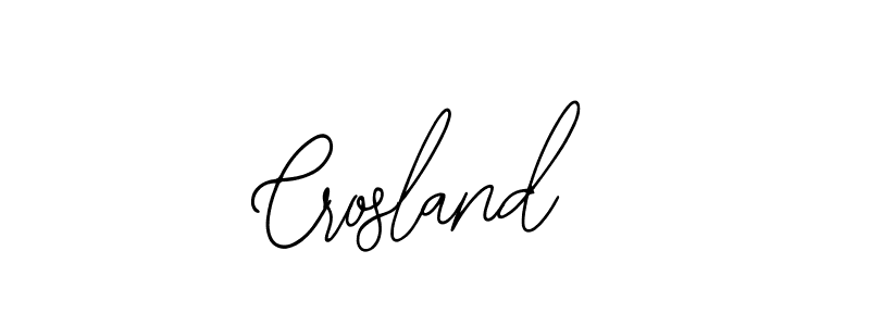 You should practise on your own different ways (Bearetta-2O07w) to write your name (Crosland) in signature. don't let someone else do it for you. Crosland signature style 12 images and pictures png