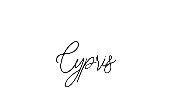 Use a signature maker to create a handwritten signature online. With this signature software, you can design (Bearetta-2O07w) your own signature for name Cypris. Cypris signature style 12 images and pictures png