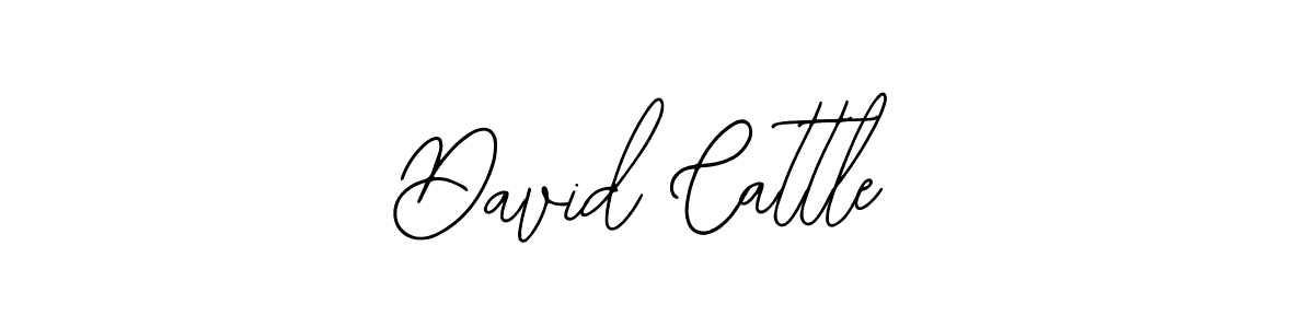 You can use this online signature creator to create a handwritten signature for the name David Cattle. This is the best online autograph maker. David Cattle signature style 12 images and pictures png