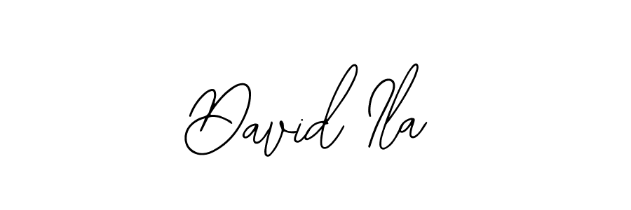 You should practise on your own different ways (Bearetta-2O07w) to write your name (David Ila) in signature. don't let someone else do it for you. David Ila signature style 12 images and pictures png