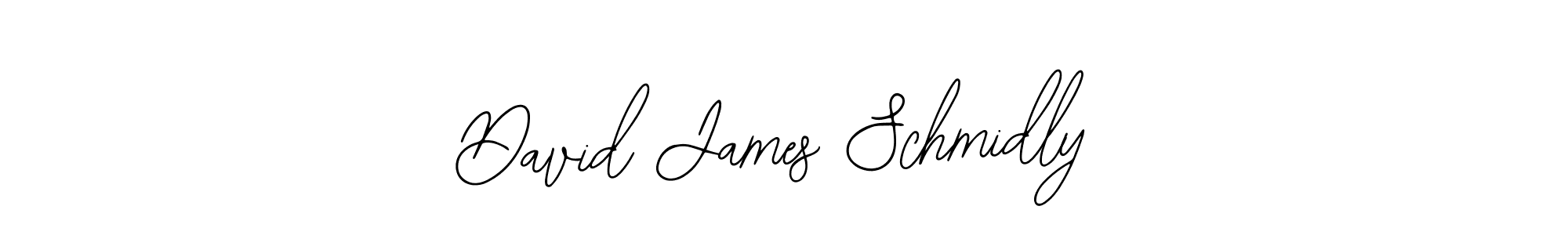 Similarly Bearetta-2O07w is the best handwritten signature design. Signature creator online .You can use it as an online autograph creator for name David James Schmidly. David James Schmidly signature style 12 images and pictures png