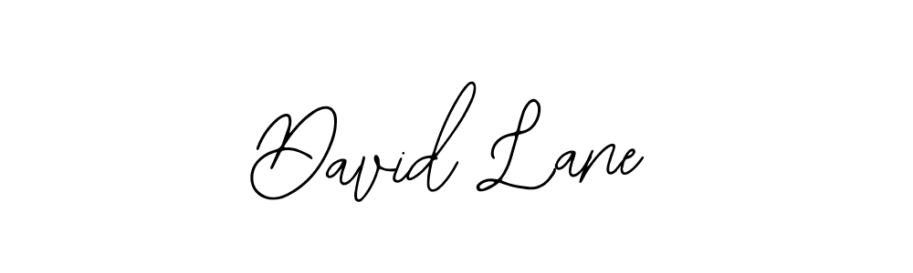 The best way (Bearetta-2O07w) to make a short signature is to pick only two or three words in your name. The name David Lane include a total of six letters. For converting this name. David Lane signature style 12 images and pictures png