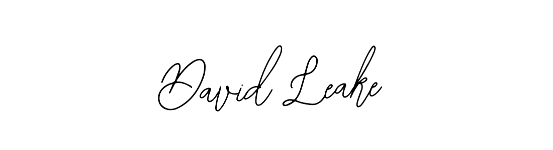 You should practise on your own different ways (Bearetta-2O07w) to write your name (David Leake) in signature. don't let someone else do it for you. David Leake signature style 12 images and pictures png