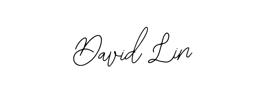 David Lin stylish signature style. Best Handwritten Sign (Bearetta-2O07w) for my name. Handwritten Signature Collection Ideas for my name David Lin. David Lin signature style 12 images and pictures png