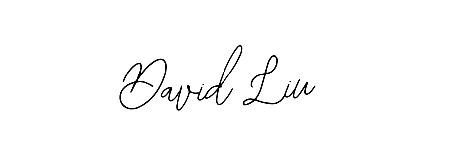 It looks lik you need a new signature style for name David Liu. Design unique handwritten (Bearetta-2O07w) signature with our free signature maker in just a few clicks. David Liu signature style 12 images and pictures png