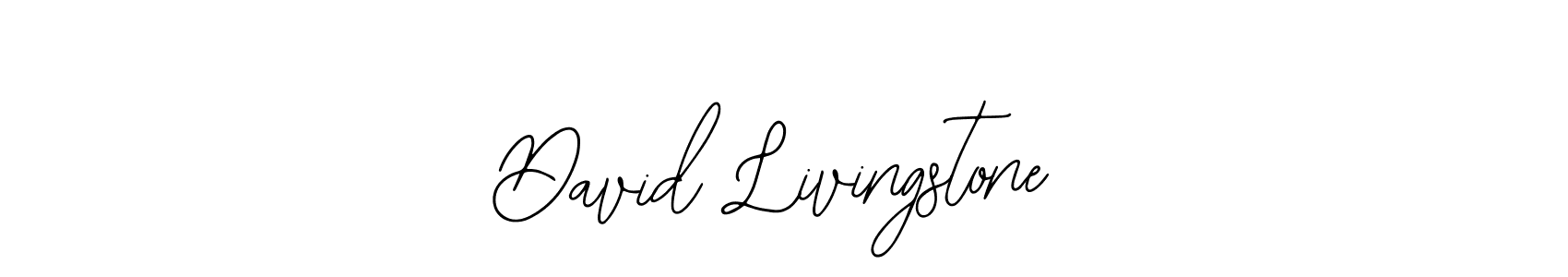 Use a signature maker to create a handwritten signature online. With this signature software, you can design (Bearetta-2O07w) your own signature for name David Livingstone. David Livingstone signature style 12 images and pictures png