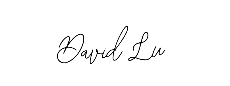 Design your own signature with our free online signature maker. With this signature software, you can create a handwritten (Bearetta-2O07w) signature for name David Lu. David Lu signature style 12 images and pictures png