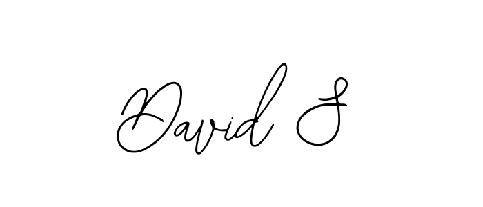 Make a beautiful signature design for name David S. With this signature (Bearetta-2O07w) style, you can create a handwritten signature for free. David S signature style 12 images and pictures png