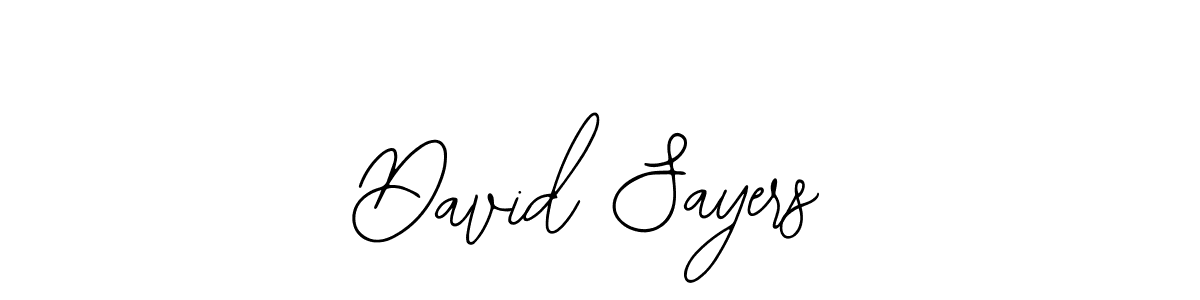 Design your own signature with our free online signature maker. With this signature software, you can create a handwritten (Bearetta-2O07w) signature for name David Sayers. David Sayers signature style 12 images and pictures png