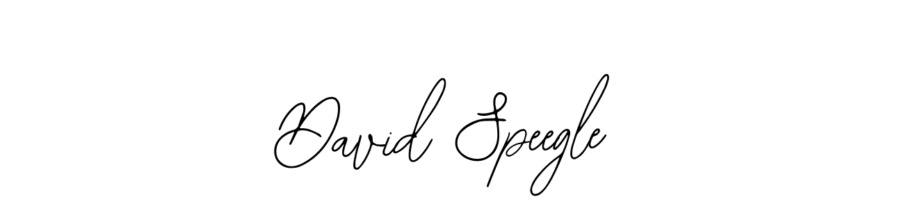 David Speegle stylish signature style. Best Handwritten Sign (Bearetta-2O07w) for my name. Handwritten Signature Collection Ideas for my name David Speegle. David Speegle signature style 12 images and pictures png