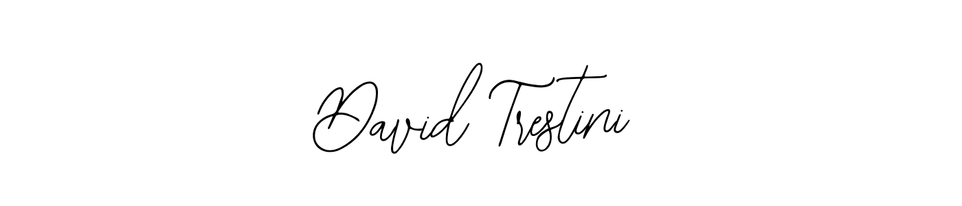 Also we have David Trestini name is the best signature style. Create professional handwritten signature collection using Bearetta-2O07w autograph style. David Trestini signature style 12 images and pictures png
