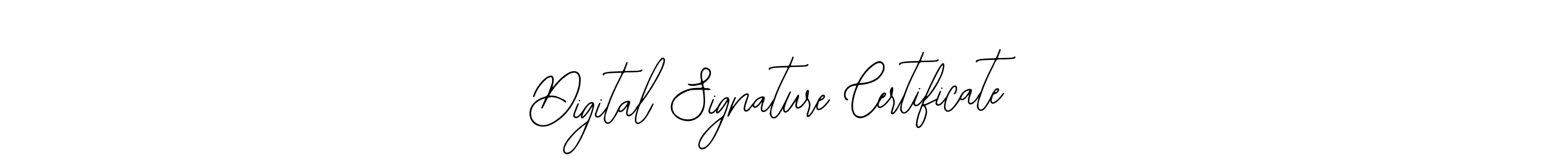 You should practise on your own different ways (Bearetta-2O07w) to write your name (Digital Signature Certificate) in signature. don't let someone else do it for you. Digital Signature Certificate signature style 12 images and pictures png
