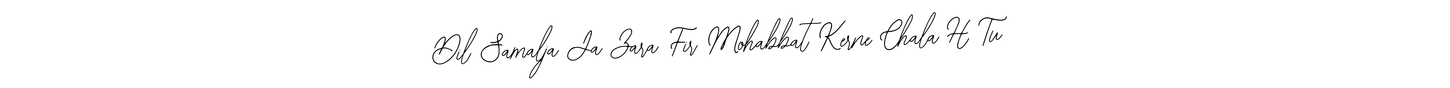 Design your own signature with our free online signature maker. With this signature software, you can create a handwritten (Bearetta-2O07w) signature for name Dil Samalja Ja Zara Fir Mohabbat Kerne Chala H Tu. Dil Samalja Ja Zara Fir Mohabbat Kerne Chala H Tu signature style 12 images and pictures png