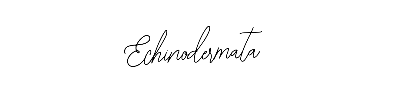 Also You can easily find your signature by using the search form. We will create Echinodermata name handwritten signature images for you free of cost using Bearetta-2O07w sign style. Echinodermata signature style 12 images and pictures png